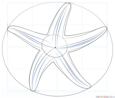 How To Draw A Starfish Step By Step Drawing Tutorials Artofit