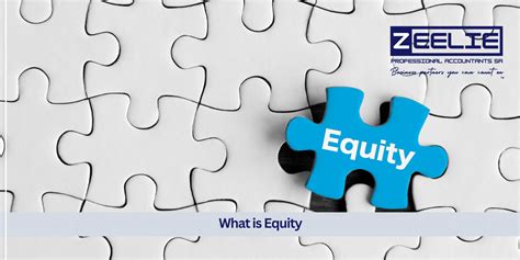 What Is Equity In South Africa