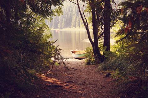 Forest Lake Boat Trees Reflection Wallpaper Nature And Landscape