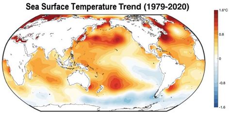 Ocean Temperature Trends [image] Eurekalert Science News Releases