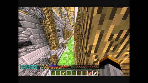 Let S Play Minecraft Survivalgames Schade Ank Ndigung