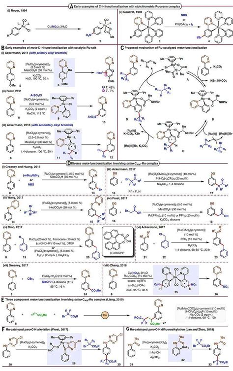 Science综述：芳烃远程csp² H键活化策略反应