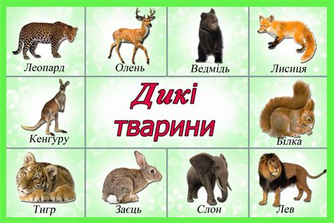 Твоя родзинка: Саморобні книжечки для мого малюка