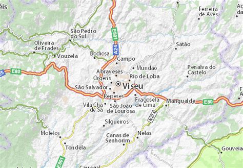 MICHELIN Viseu map - ViaMichelin