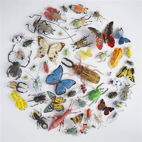 La Collection D Insectes En Tissu Et Papier De Kate Kato Plumetis