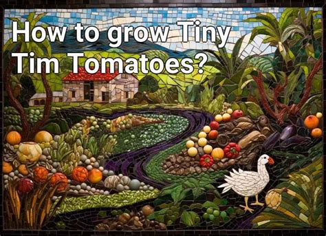 How To Grow Tiny Tim Tomatoes Agriculture Gov Capital