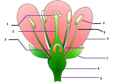 Biology 2