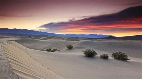 Desert Sunset HD wallpaper | nature and landscape | Wallpaper Better