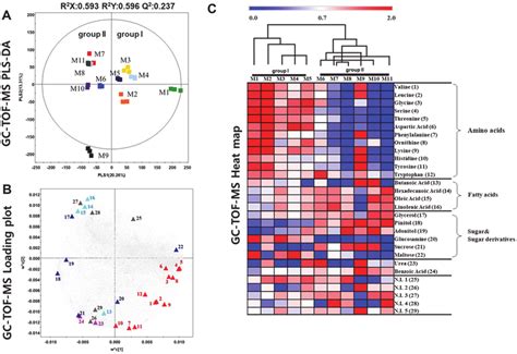 A Pls Da Score Plots Derived From Non Targeted Metabolite Profiling