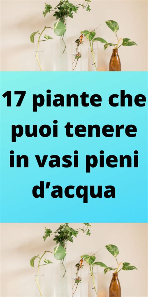 17 Piante Che Puoi Tenere In Vasi Pieni Dacqua Artofit