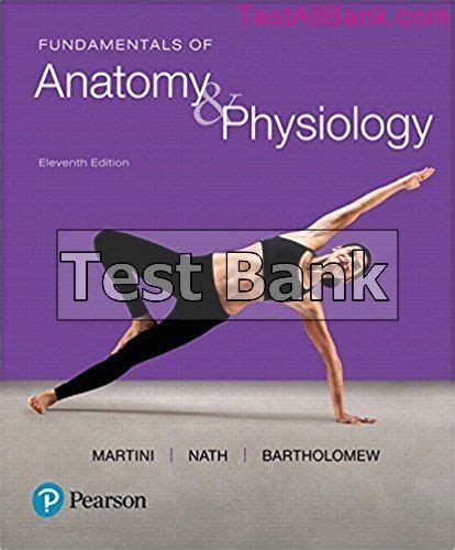 Fundamentals Of Anatomy And Physiology 11th Edition Martini Test Bank