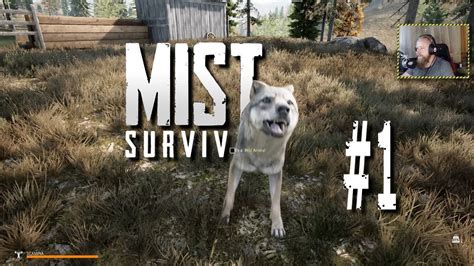 MIST SURVIVAL Lets Play 1 Ich Wollte Es Nicht SPIELEN Und