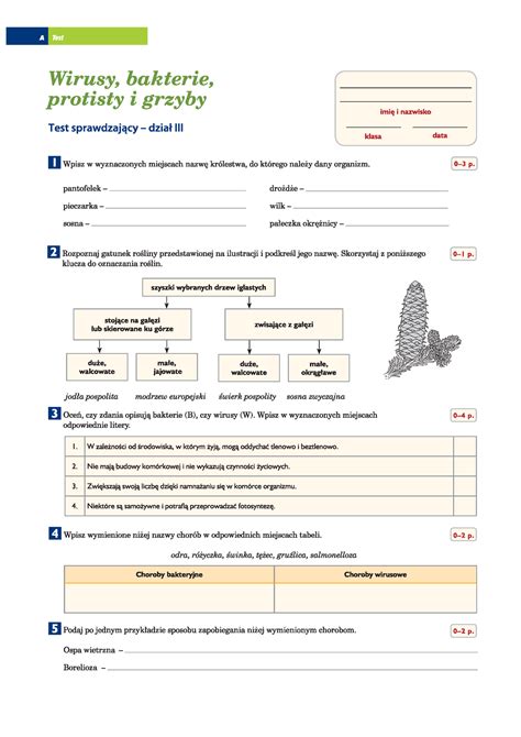 Test Wirusy Bakterie Protisty I Grzyby Biol Studocu