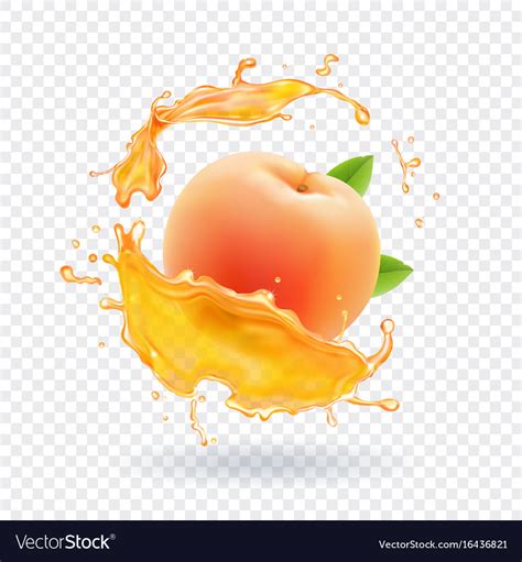 Peach Juice Realistic Fresh Fruit Splash Vector Image