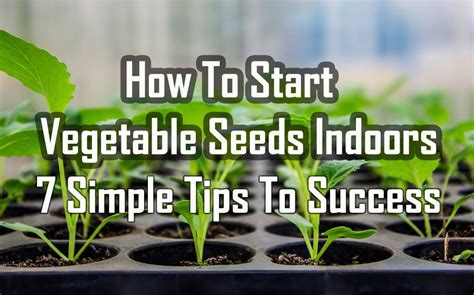 How To Start Vegetable Seeds Indoors 4 Simple Tips To Big Success