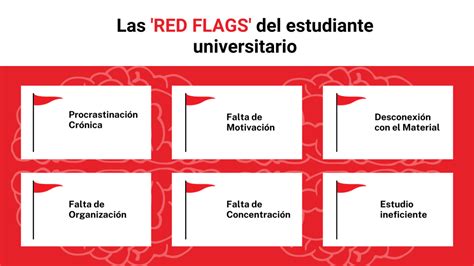 Identificando Las RED FLAGS En Tu Experiencia Universitaria The Brain