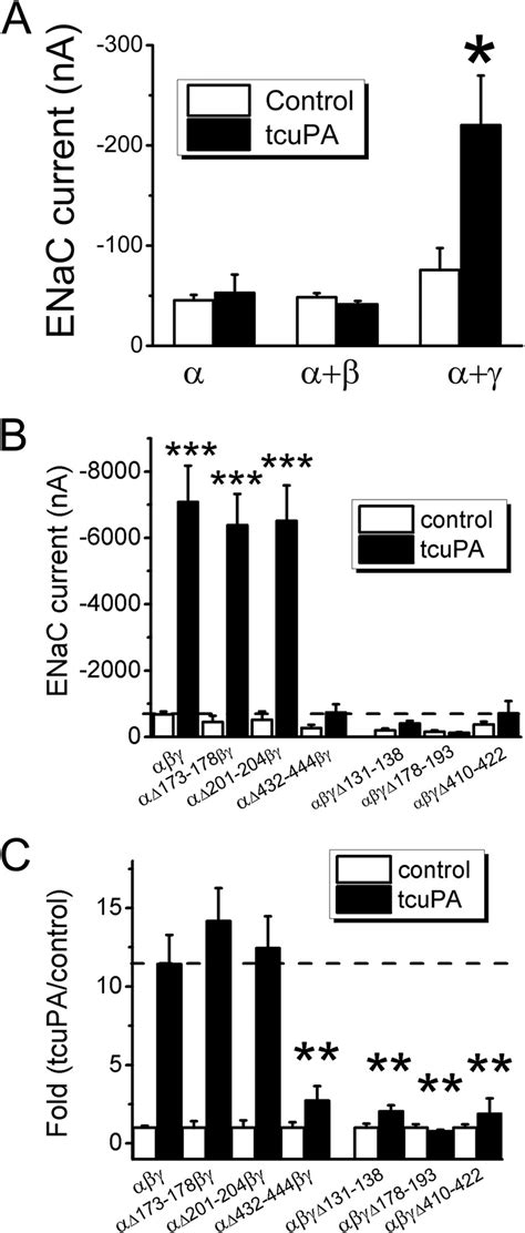 Identification Of Tcupa Regulated Domains In Enac Subunits A Subunit