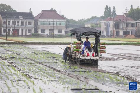 浙江嘉兴：返乡创业“新农人”为乡村振兴注入新动能 新华网