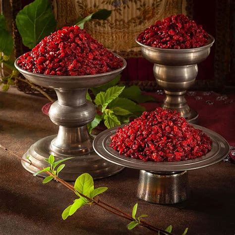زرشک خشک خواص؛ کوهی طبیعی ضد باکتری قارچ حاوی Vitamin آراد برندینگ