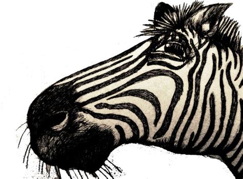 Zebra Art Black and White Art Pen and Ink Zebra - Etsy