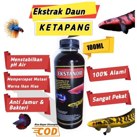 Jual Ekstrak Daun Ketapang 100 Original Mutasi Warna Ikan Channa