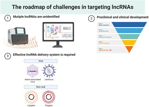 Frontiers Current Concepts Of The Crosstalk Between Lncrna And E2f1