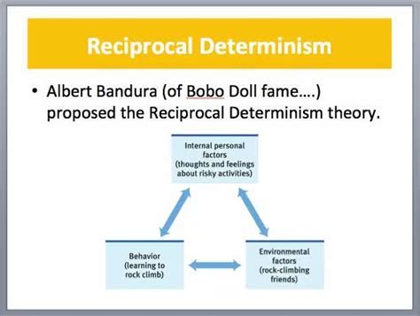 Sale Reciprocal Determinism Model In Stock