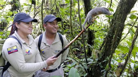 Espec Menes De Vida Silvestres Fueron Liberados En La Reserva