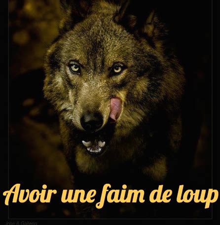 10 Funny French Idioms with Animals – French Studio - French Studio ...