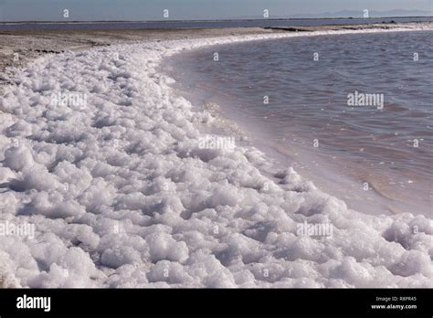 M Xico Baja California Sur Guerrero Negro Laguna Ojo De Liebre