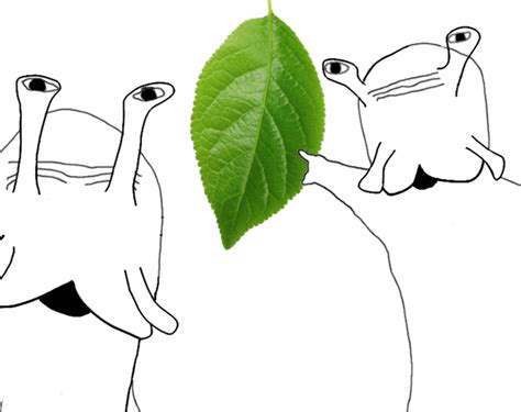 Wojak Soyjak Snails Pointing At Leaf Two Soyjaks Pointing Know Your