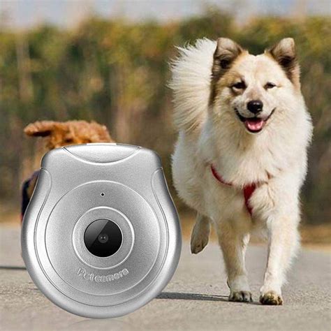 Best Dog Collar Camera – Pet Camera Guide