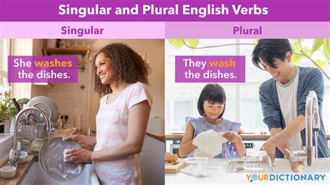 Singular And Plural English Verbs Chart Yourdictionary