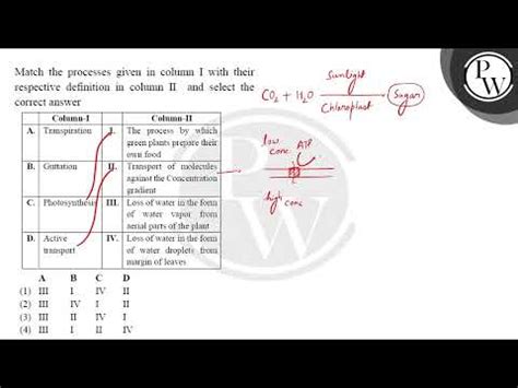 Match The Processes Given In Column I With Their Respective Definition