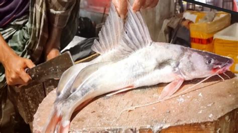 Amazing Ayer Fish Cutting Cleaning Skills In Bangladesh Fish Market