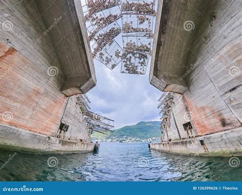 Old Submarine Shelter In The Kotor Bay Montenegro Stock Photo Image