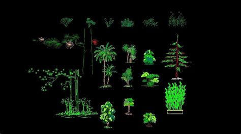 Coconut Palms Trees Plant Front View Elevation D Dwg Block For Autocad