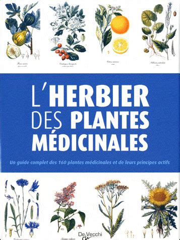 L Herbier Des Plantes M Dicinales Broch Collectif Achat Livre Fnac