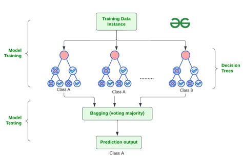 Random Forest Algorithm In Machine Learning Geeksforgeeks