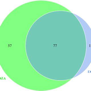 A Maximum Likelihood Ml Eukaryotic Phylogenetic Tree Of The