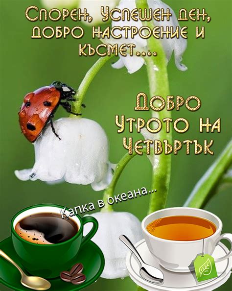 Добро утро - КАПКА В Океана - Από μηχανής θεός