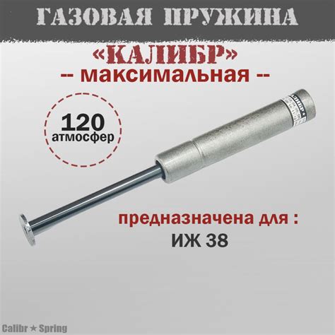 Газовая пружина Калибр для ИЖ 38 Максимальная - купить с доставкой по ...