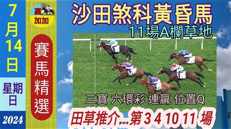 🐎7月14日🚨星期日黃昏 賽馬精選🌇沙田11場草地賽事534😊本頻道的賽馬貼士祇能作為參考之用👌😃溫馨提示小注可怡情視為娛樂玩票