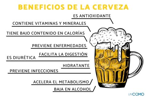 Efectos De Tomar Cervezas Al D A En Tu Cuerpo Cervezapasion