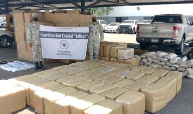 En Jalisco Guardia Nacional Decomisa Aparente Marihuana Y