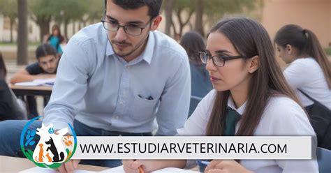 Guía y consejos para aprobar veterinaria Estudiar Veterinaria