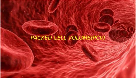 Solution Packed Cell Volume Studypool