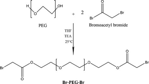 The Bromination Route Of Poly Ethylene Glycol By 2 Bromo Acetyl