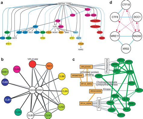 Representative Network Models Stored In Cellcircuits A A Collection