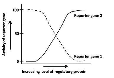 Previous Year Questions Pyq December Csir Net Life Sciences